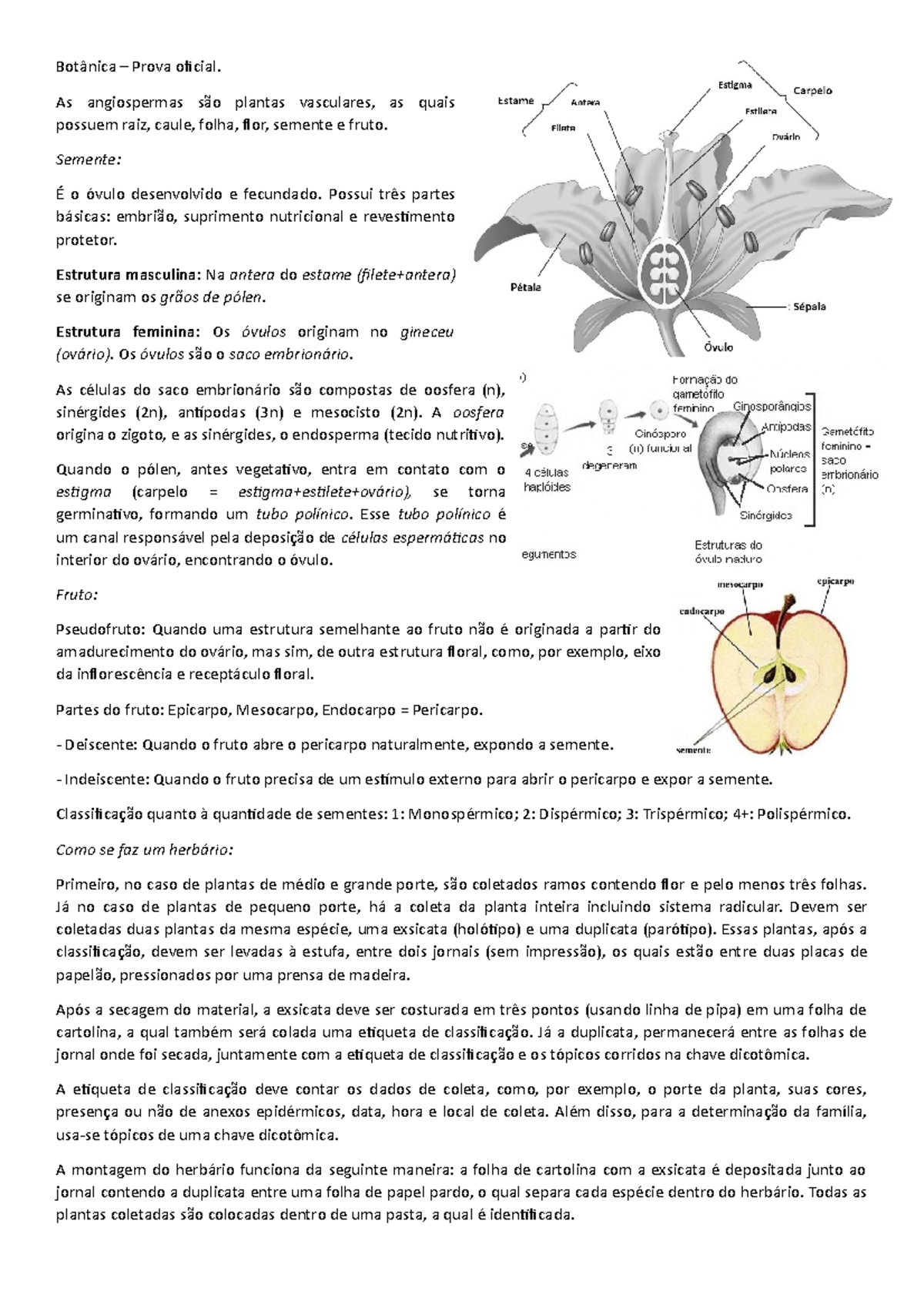 2 prova de botânica, PDF, Semente