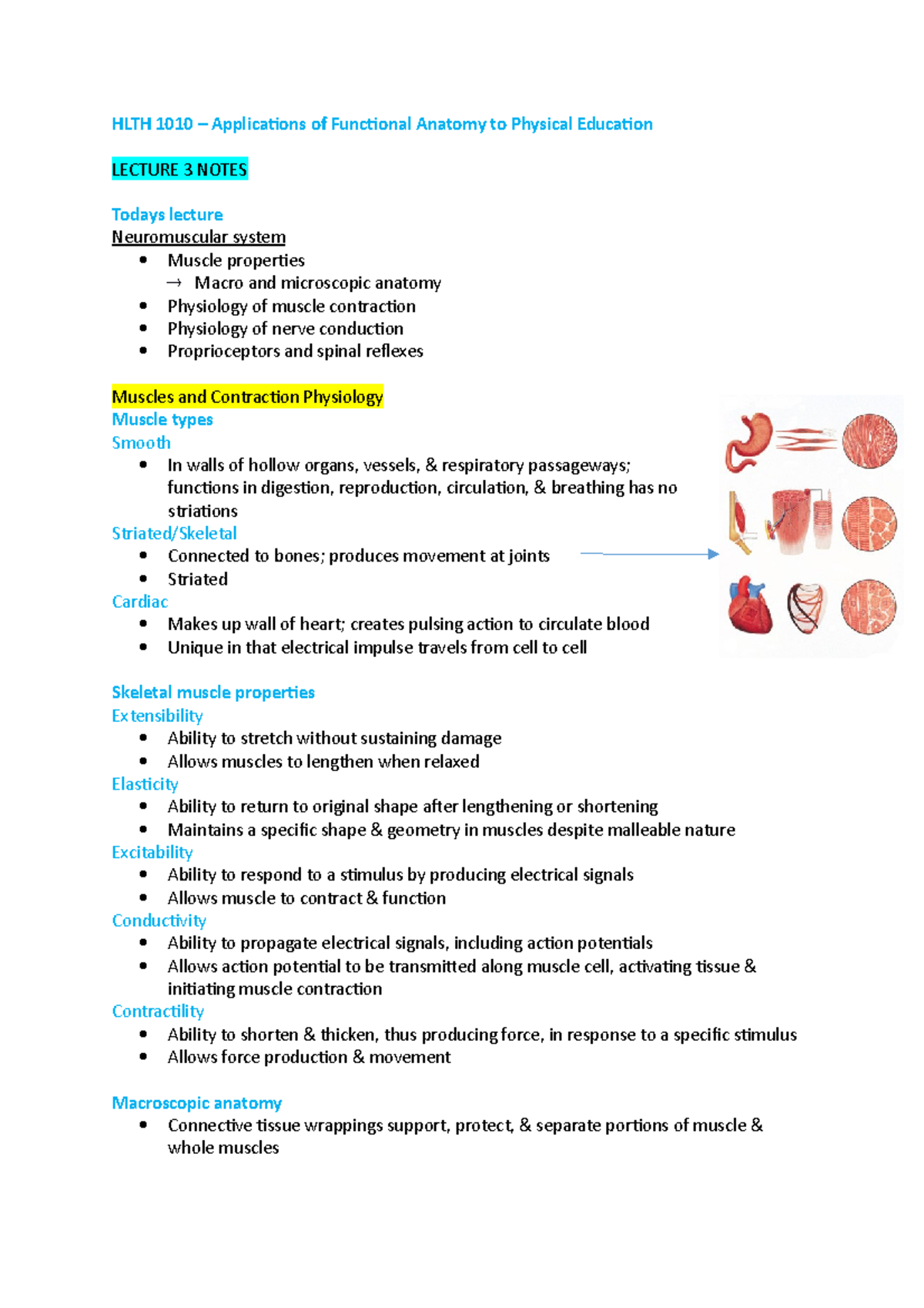 Lecture 3 Notes - HLTH 1010 – Applications of Functional Anatomy to ...