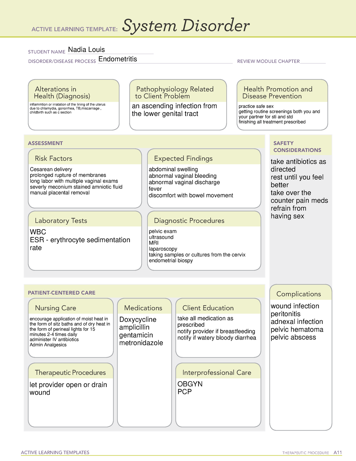 endometritis-system-disorder-ati-template-active-learning-templates-therapeutic-procedure-a