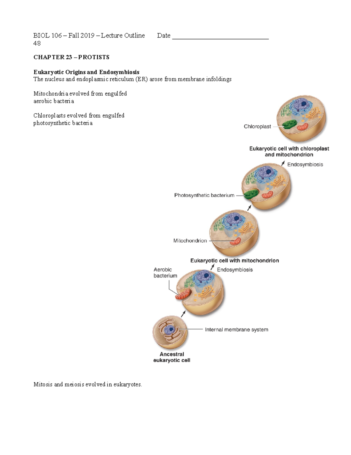 106 FA 2019 Lecture Outline - Exam 3 - CHAPTER 23 – PROTISTS Eukaryotic ...