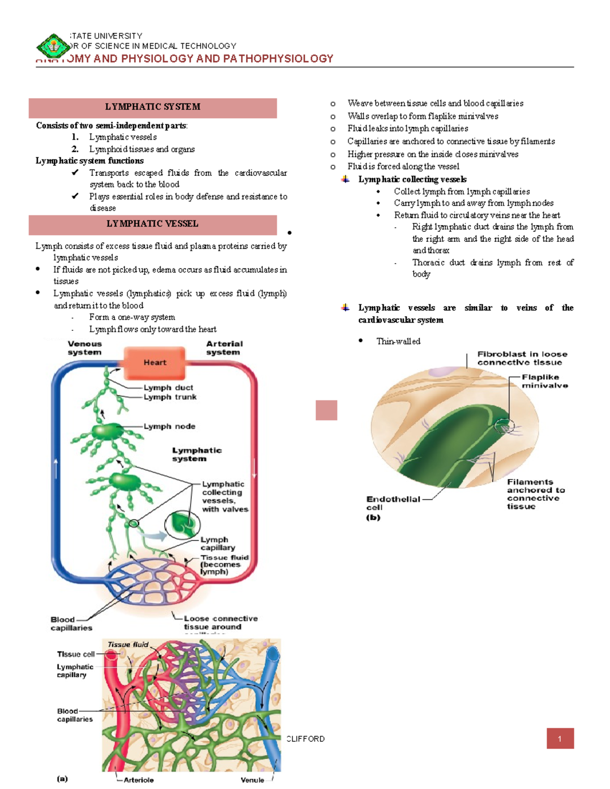 Lymphatic - Human Anatomy and physiology with pathophsiology - BACHELOR ...