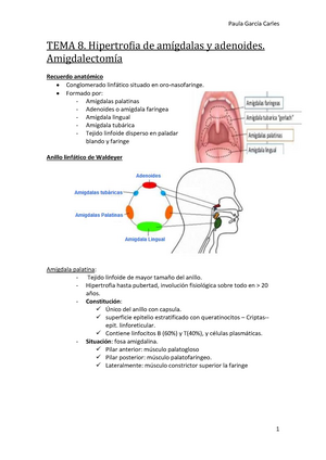 puntuación de hipertrofia amigdalina