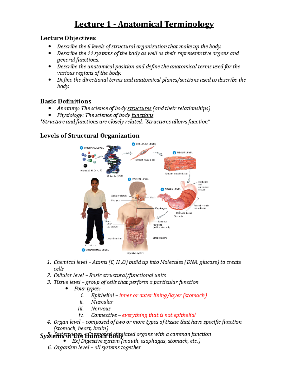 Lecture 1 - Anatomical Terminology & Systems of the Human Body ...