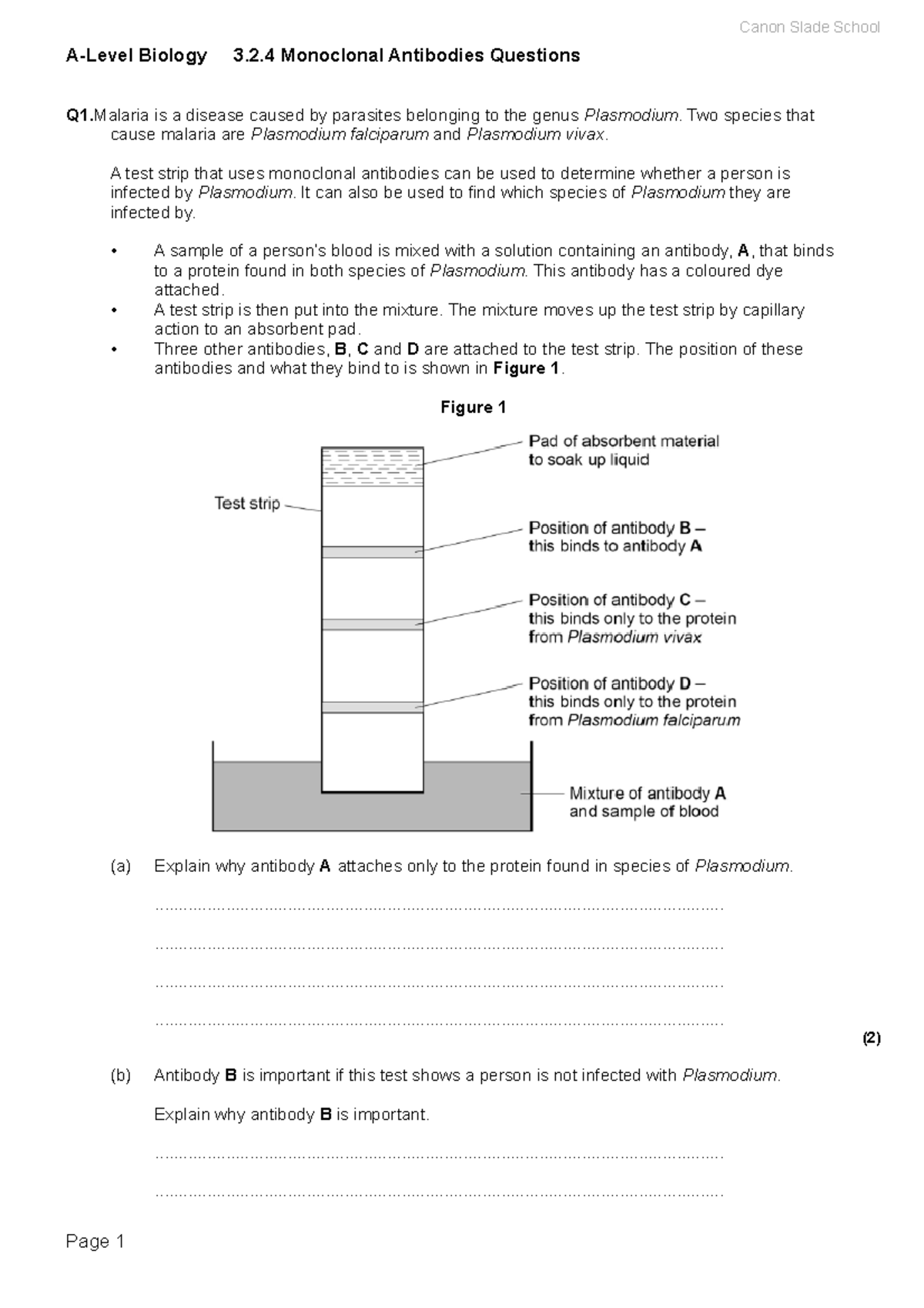 Monoclonalabsq practice Q on monoclonal antibodies ALevel