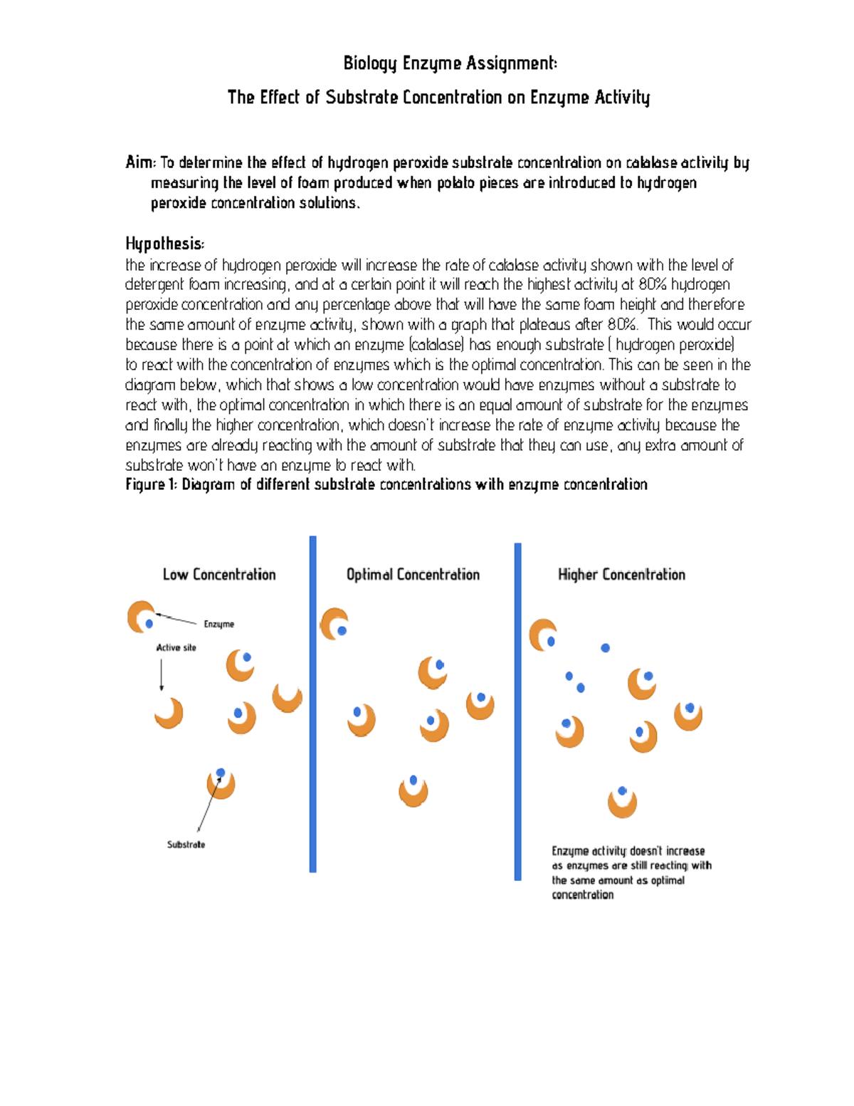 Biology Enzyme Testing Assessment - Full marks example - Biology Enzyme ...