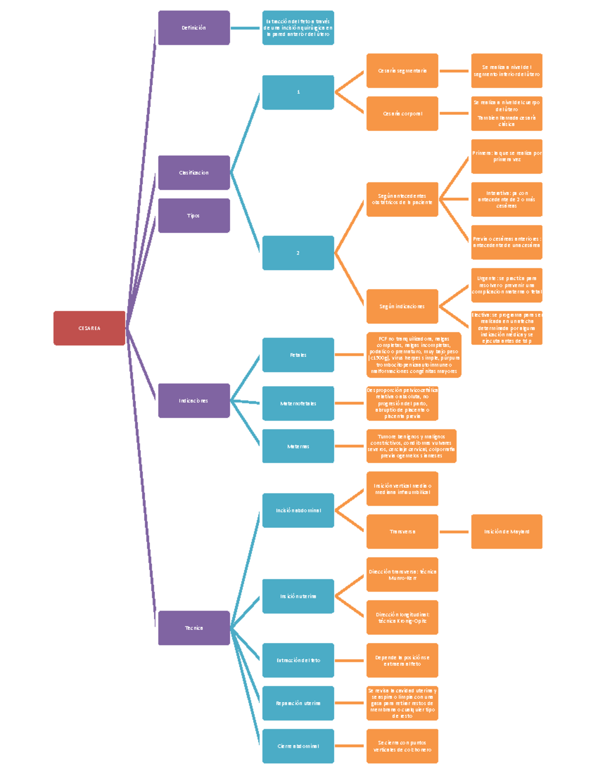 MAPA cesarea MAPAS MENTALES CONLA INFORMACION ELEMENTAL DE ALGUNAS