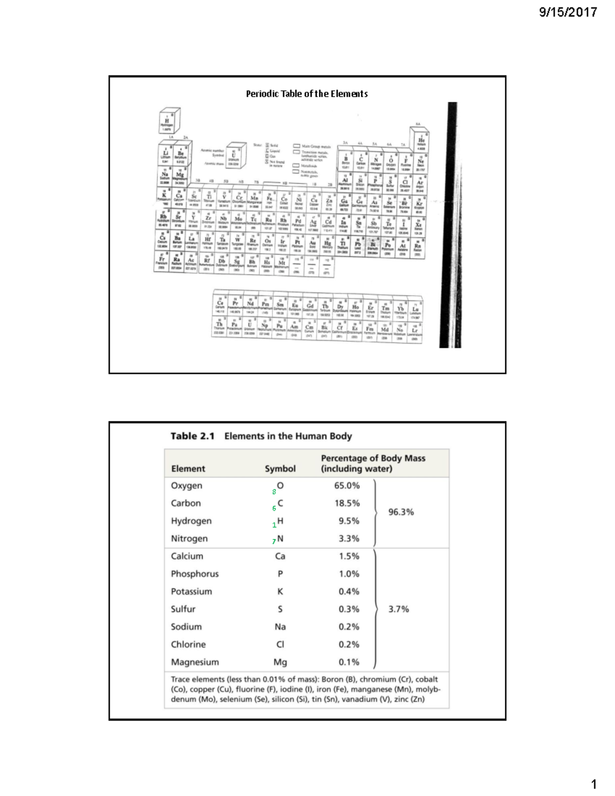 123 Topic 2 slides - Prof. Piazza - Periodic Table of the Elements (b ...