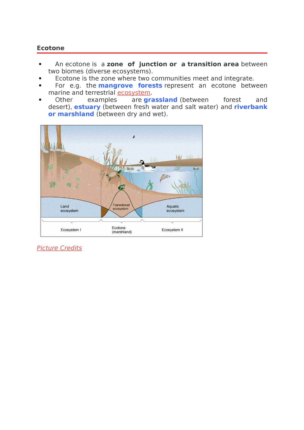 Ecotone - Ecotone An Ecotone Is A Zone Of Junction Or A Transition Area ...