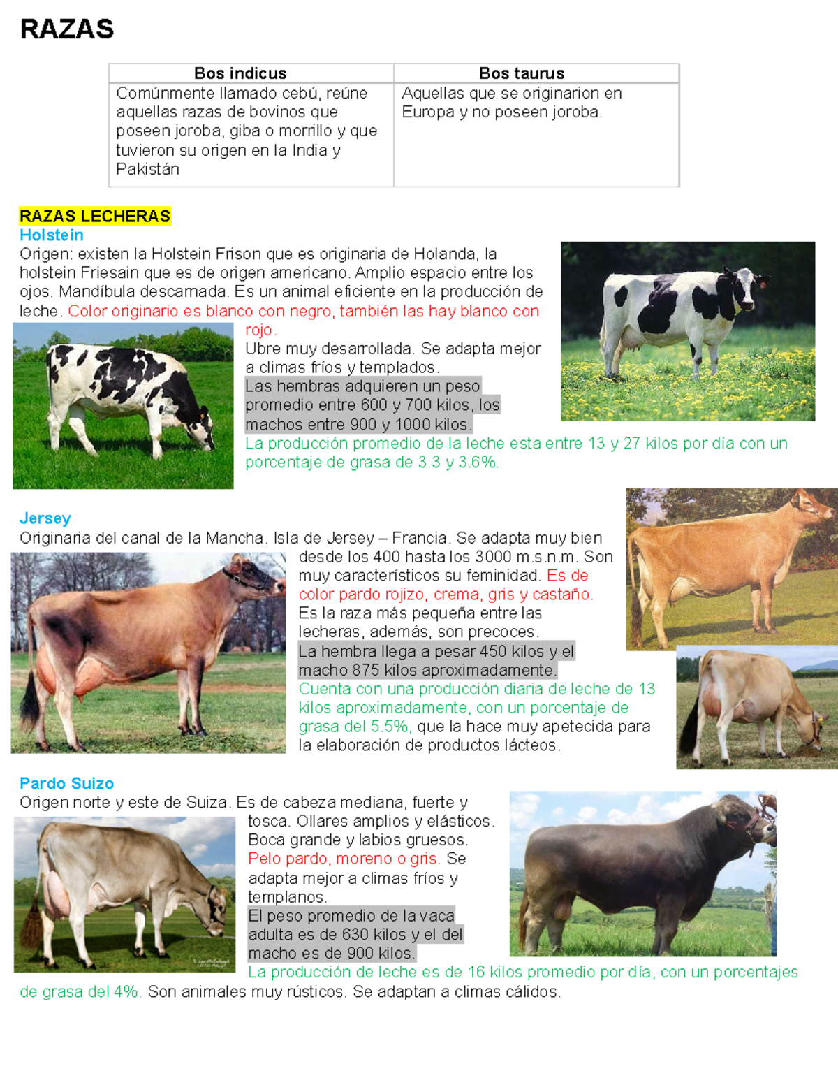 Razas Bovinas - RAZAS Bos Indicus Comúnmente Llamado Cebú, Reúne ...