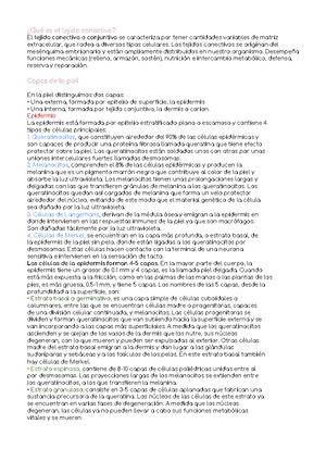 Neurologia B527 UVM StuDocu Neurologia B527 UVM StuDocu
