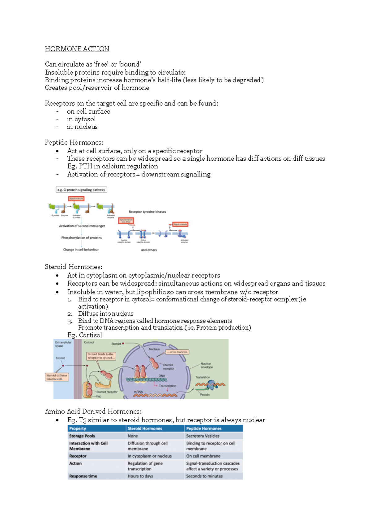 Endocrine 2 - hormone action - HORMONE ACTION Can circulate as ‘free ...