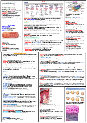 [solved] Th Below Represents The Structure Of The Cystic Fibrosis 