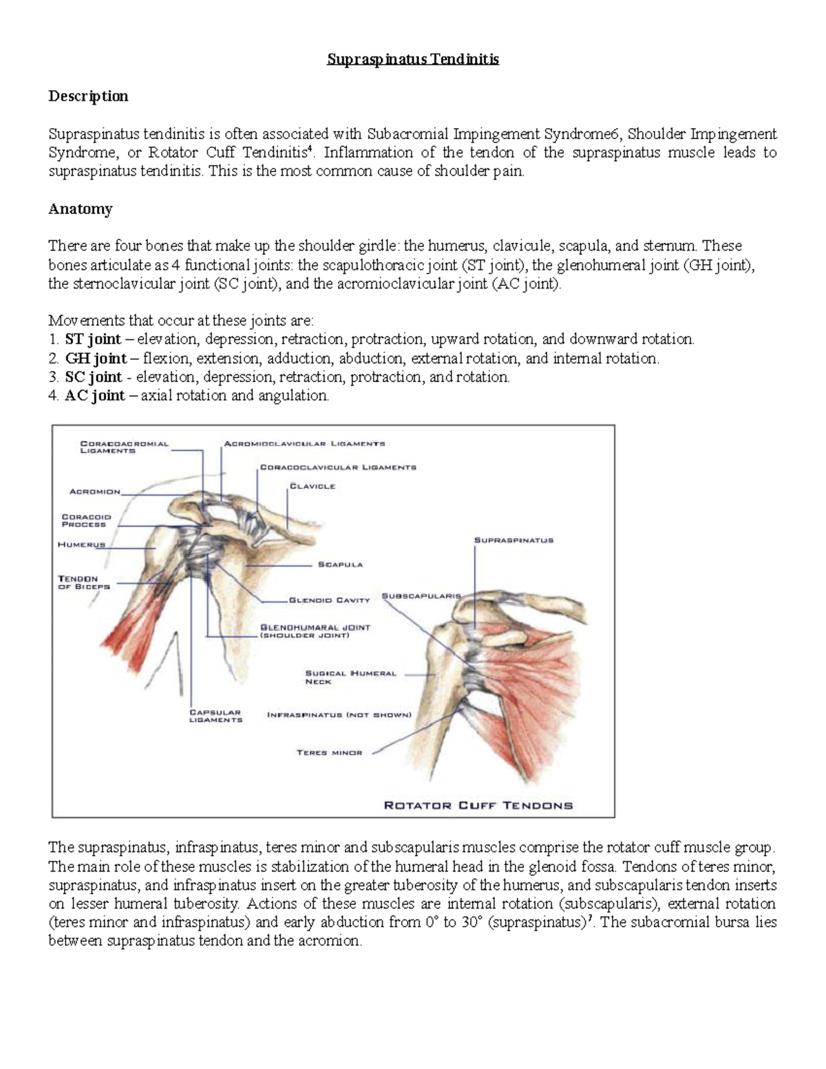 198123667-Supraspinatus-Tendinitis - Supraspinatus Tendinitis ...