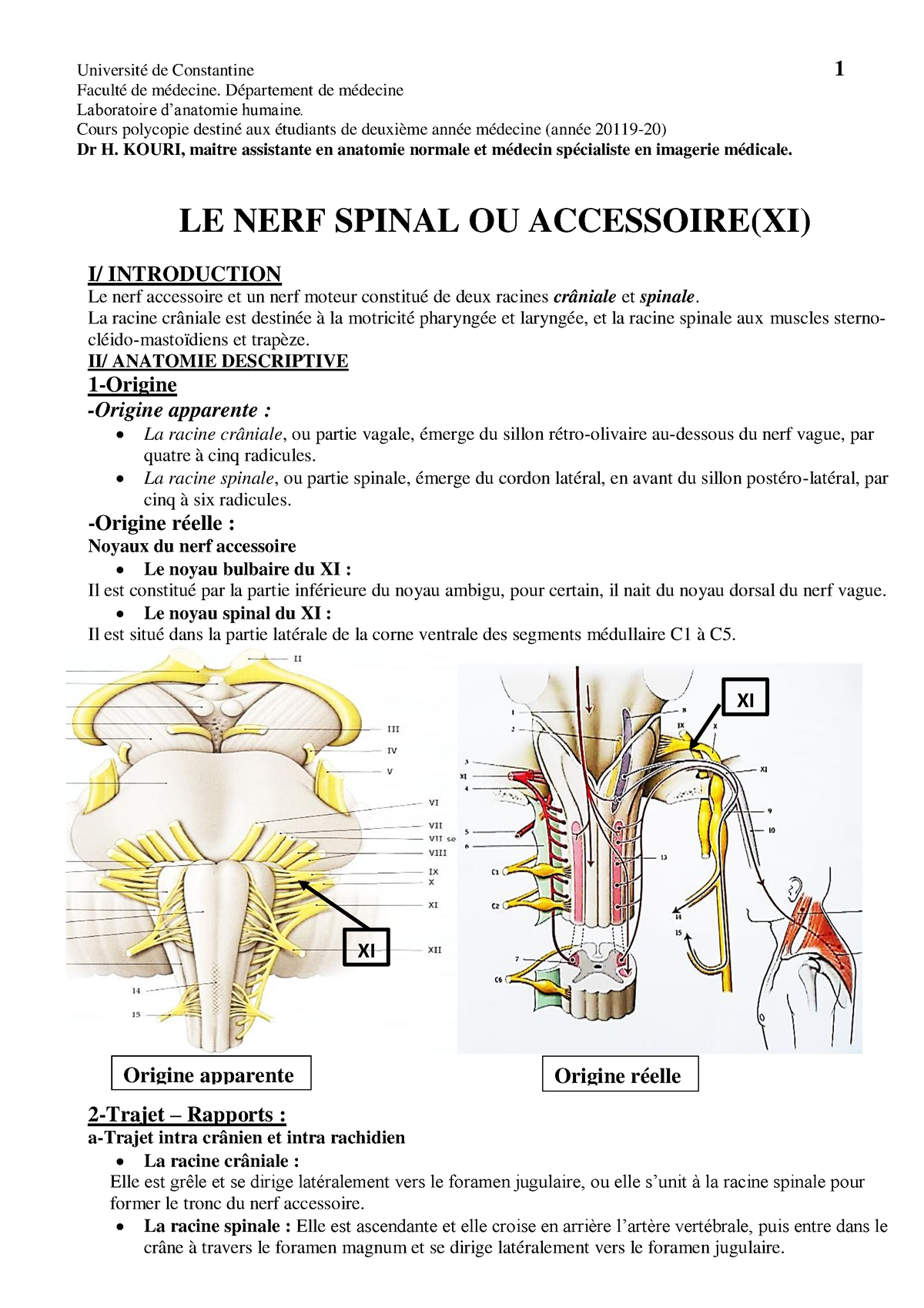 Anato 2an-nerf spinal 2020kouri - Université de Constantine 1