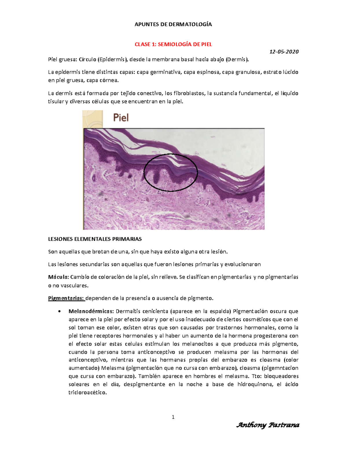 Apuntes Dermatologia I Parcial - 1 CLASE 1: SEMIOLOGÕA DE PIEL 12-05 ...