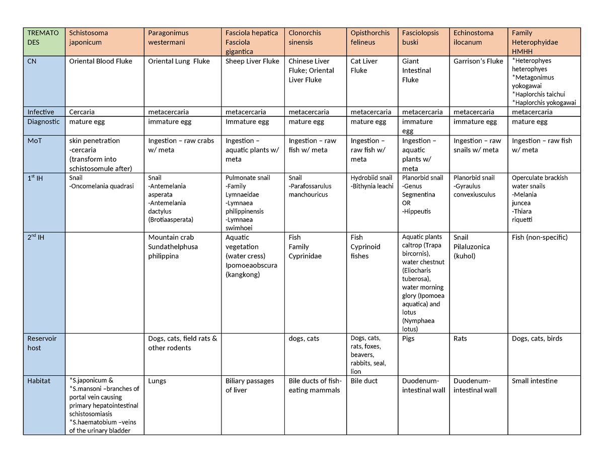 Trematodes - TREMATO DES Schistosoma japonicum Paragonimus westermani ...