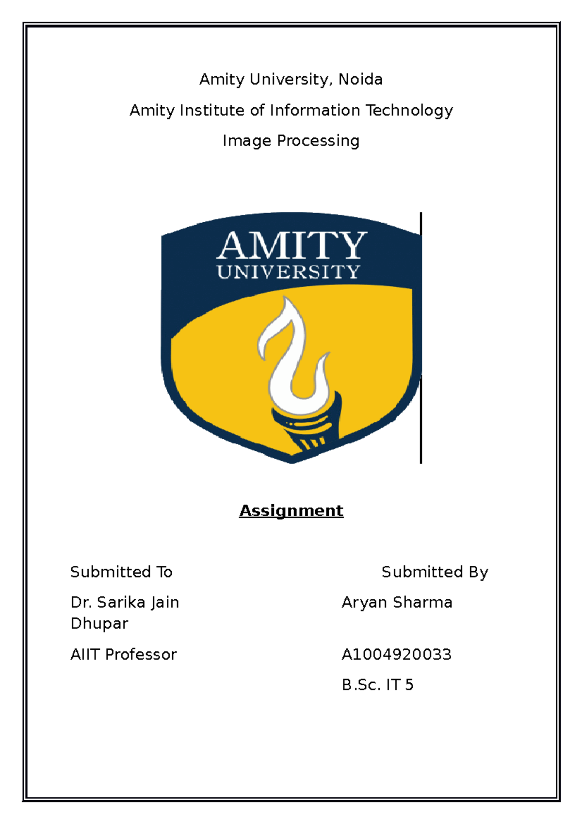 amity assignment sheets