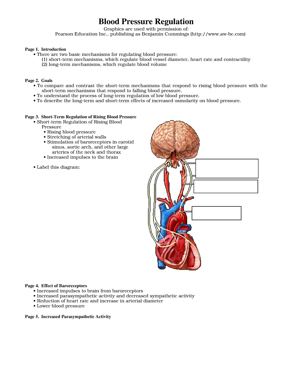 02-blood-pressure-regulation-blood-pressure-regulation-graphics-are