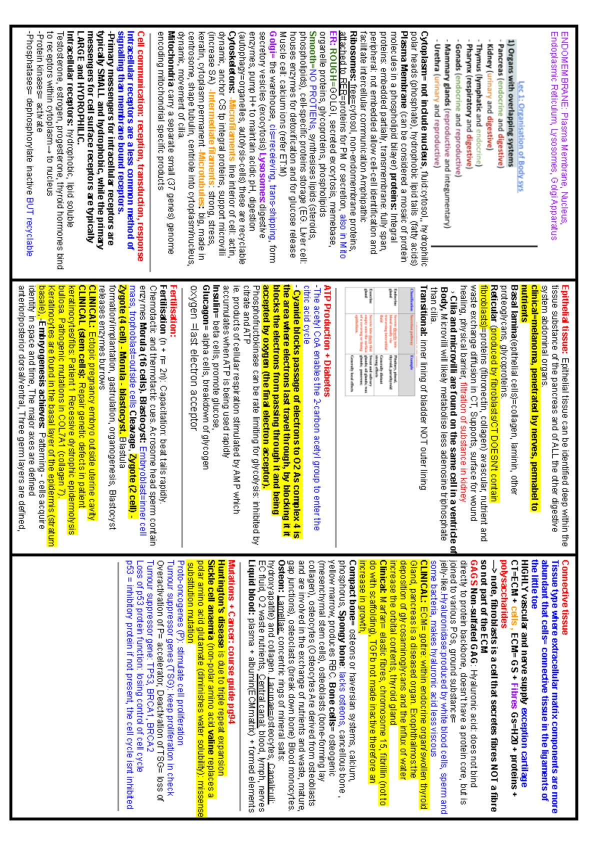 Midterm A4 summary sheet - Cytoplasm= not include nucleus Endoplasmic ...