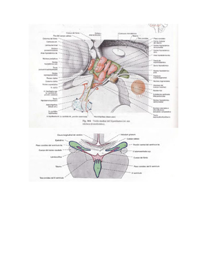 History Of Medicine Timeline Heart Views Jan Mar Issue Vol