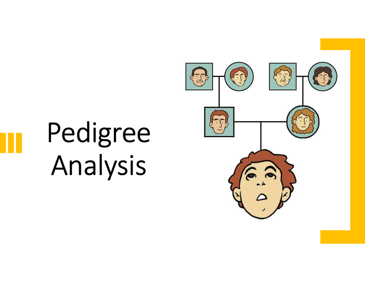 pedigree-analysis-pedigree-analysis-pedigree-reveals-patterns-of