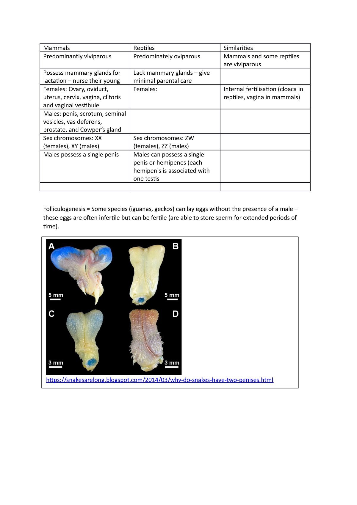 Mammals vs reptiles reproduction table - Mammals Reptiles Similarities