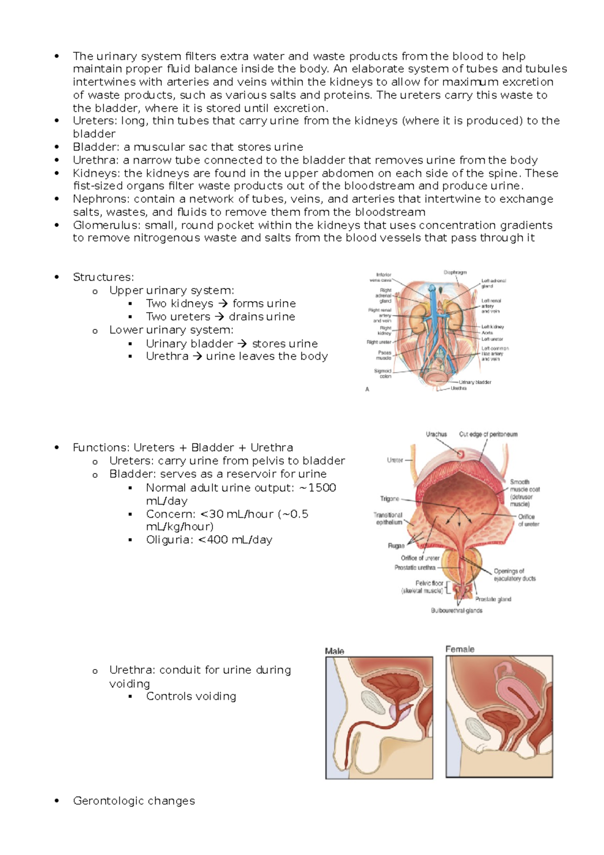 A+G Exam 2 - Summary of lecture notes for exam 2 - NRSG 310 - Studocu