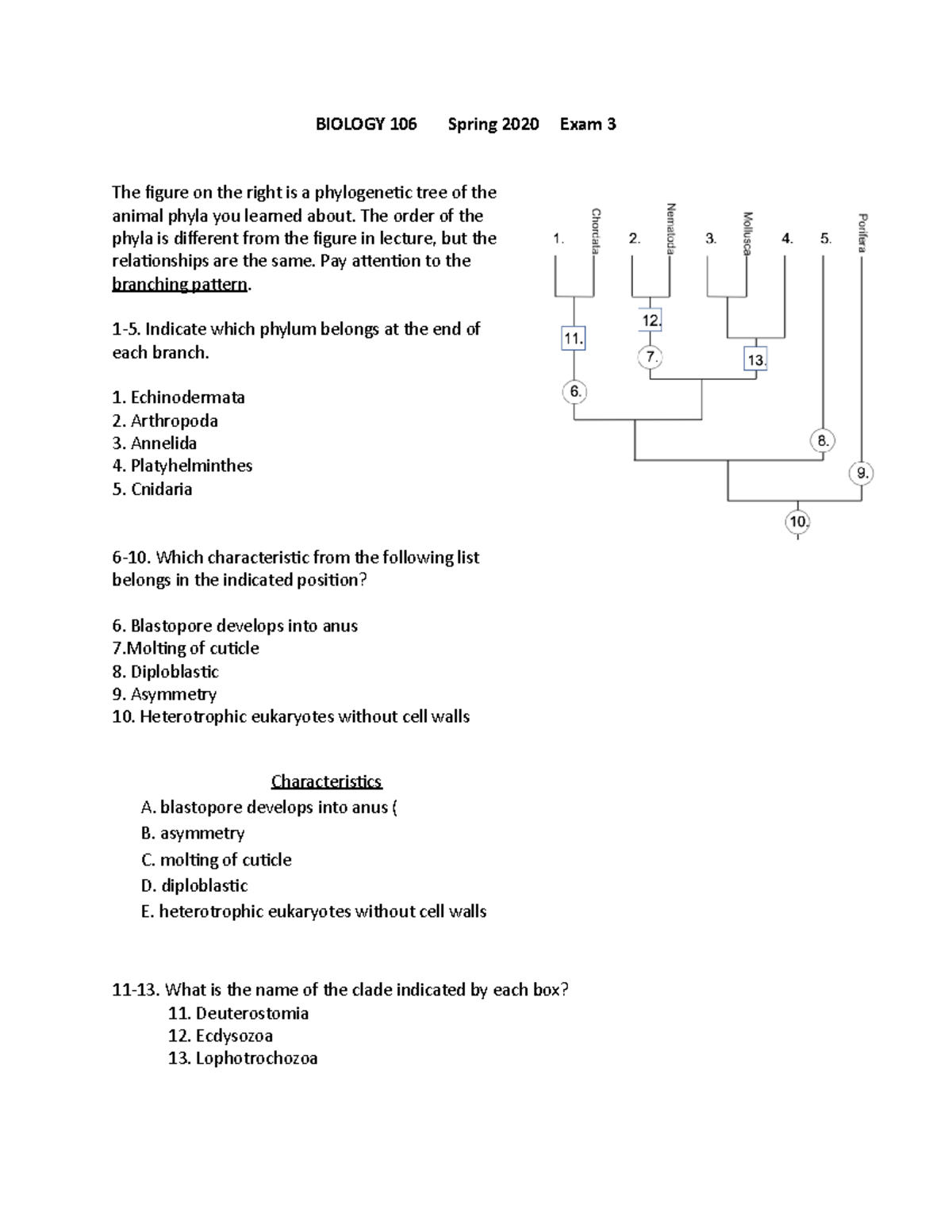 Exam 3online - Professor Micheal Jorgensen - BIOLOGY 106 Spring 2020 ...