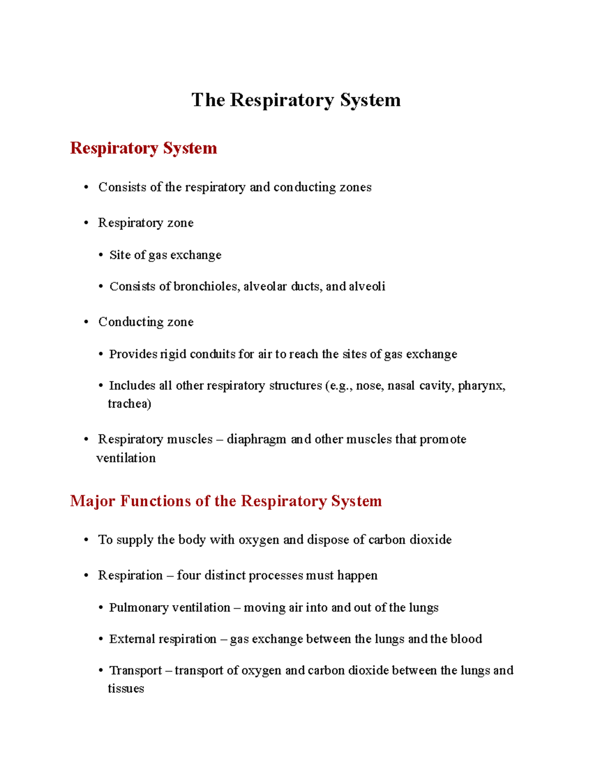 The Respiratory System - The Respiratory System Respiratory System ...