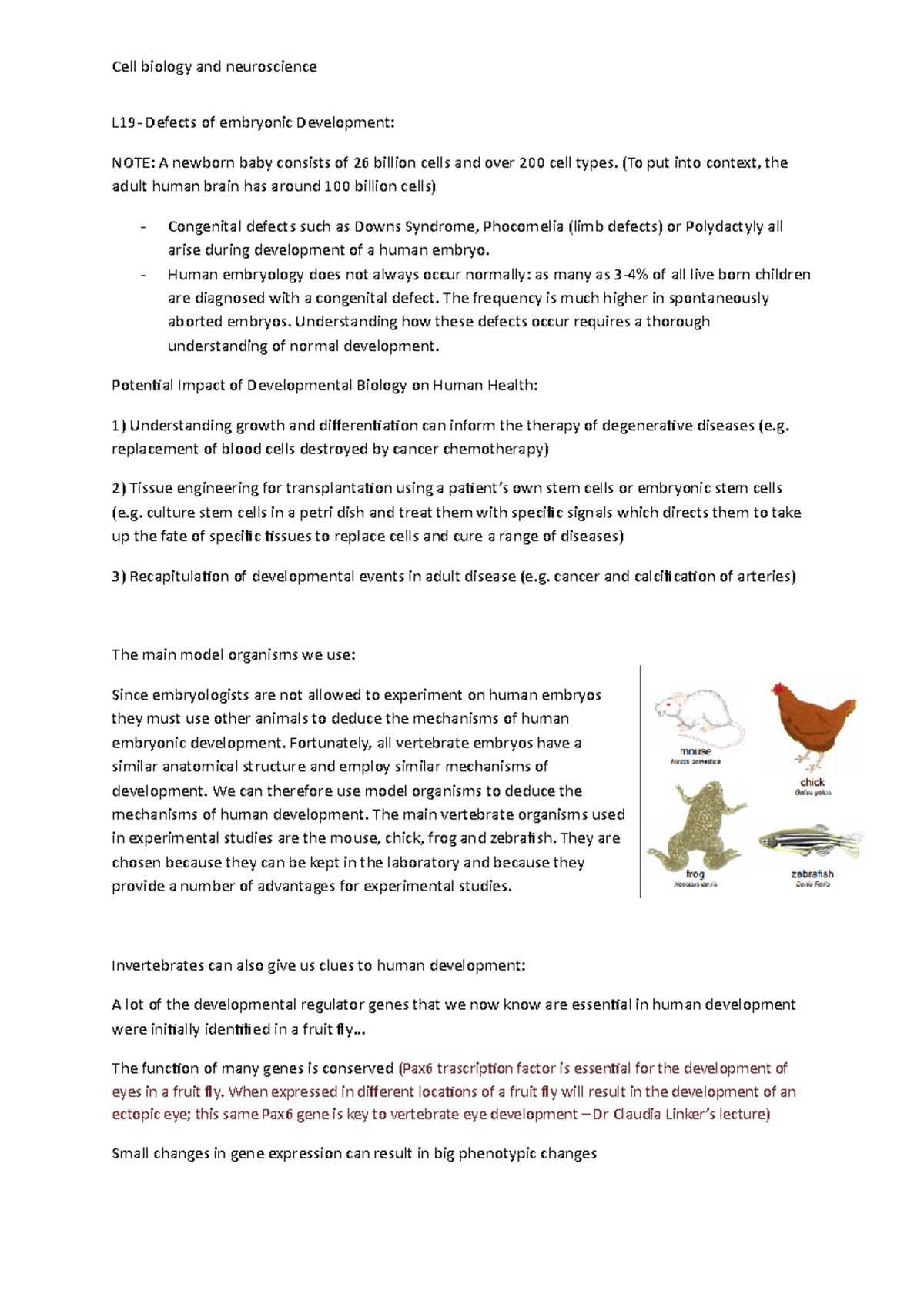 L19-cell biology and neuroscience - L19- Defects of embryonic ...