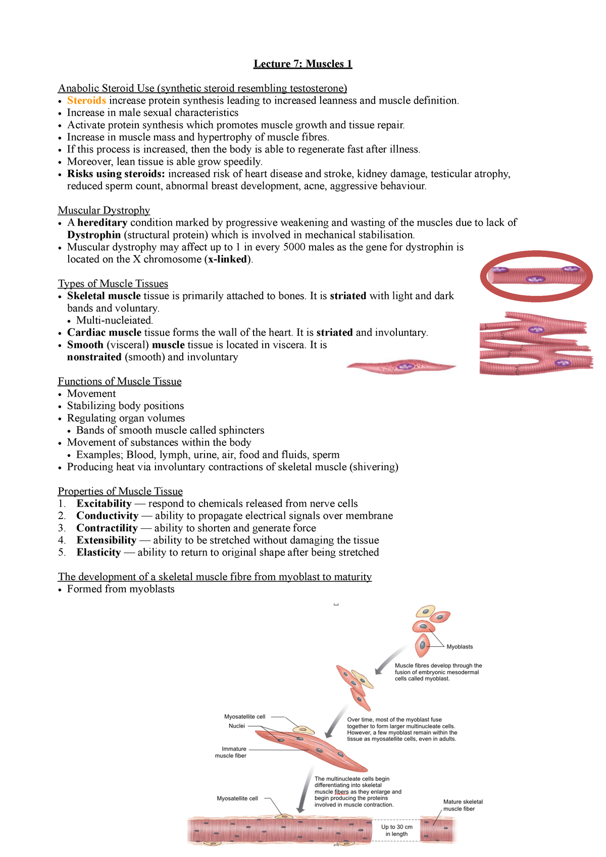 Lecture 7- Muscles 1 - Lecture 7: Muscles 1 Anabolic Steroid Use ...