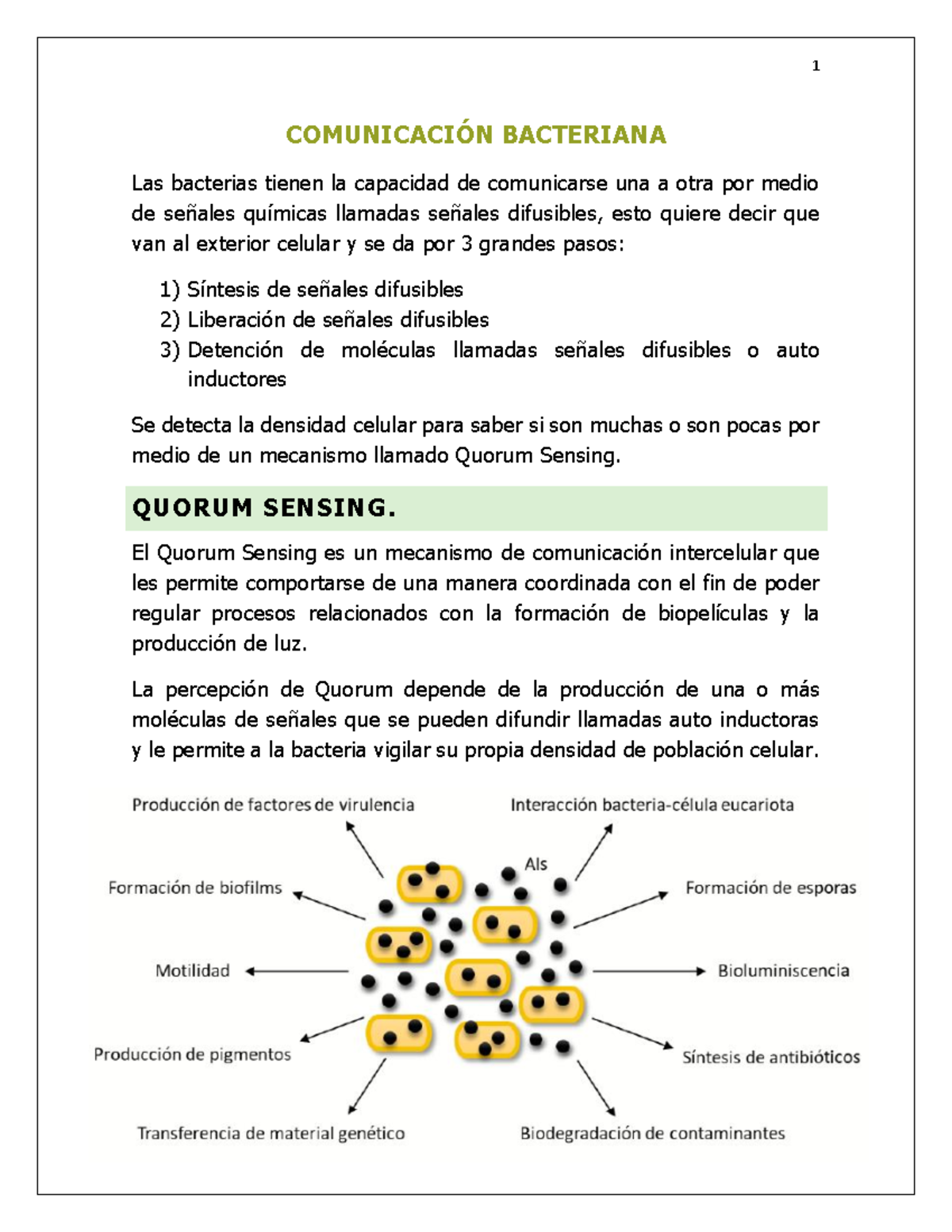 Comunicación Bacteriana - COMUNICACIÓN BACTERIANA Las Bacterias Tienen ...