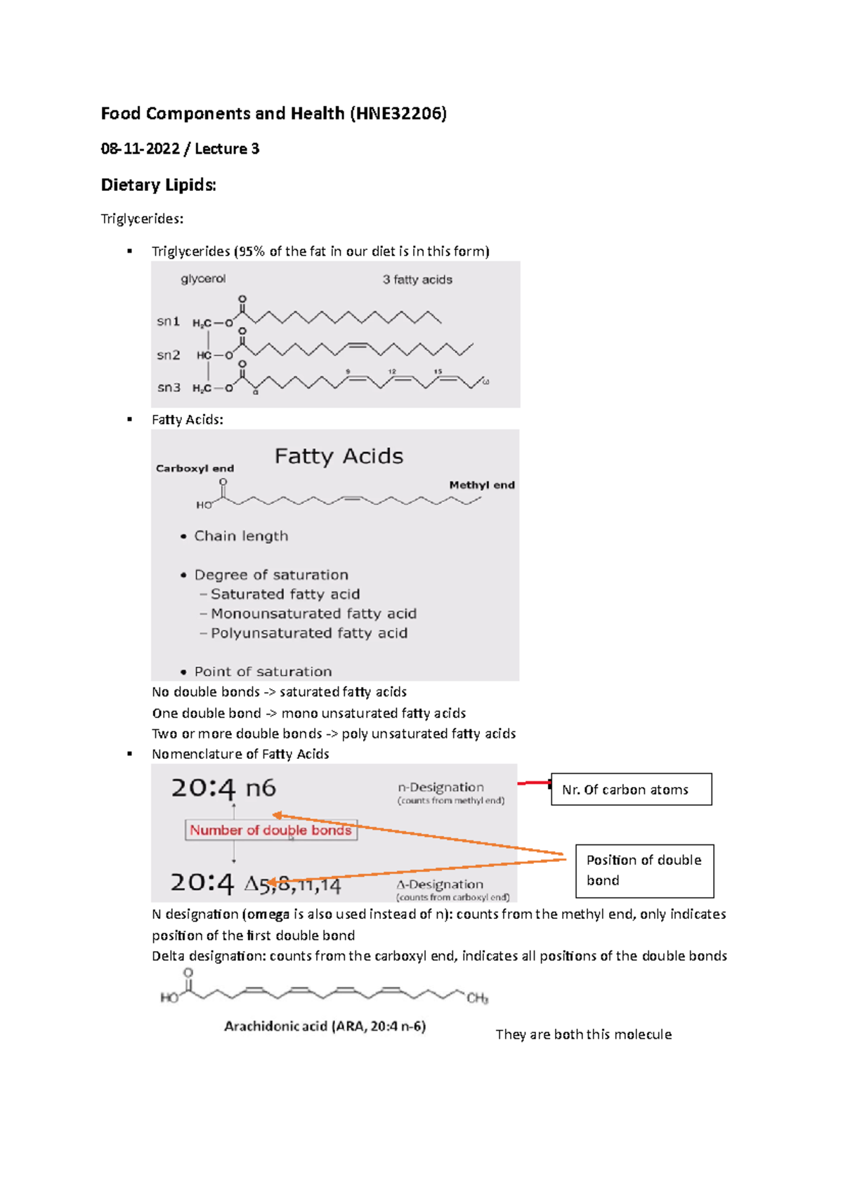 food-components-and-health-lipids-food-components-and-health-hne32206-08-11-2022-lecture-3