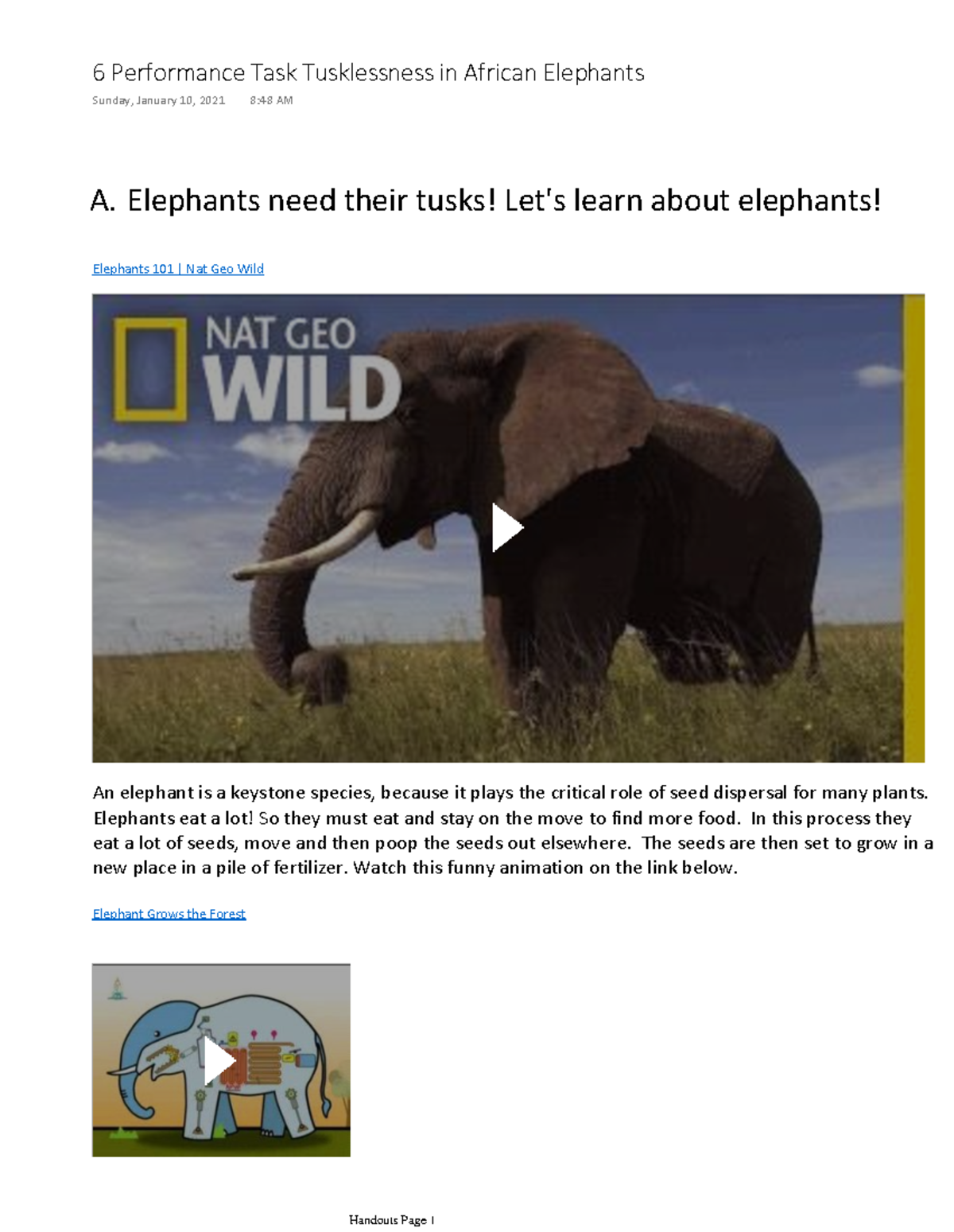 6 Performance Task Tusklessness in African Elephants - A. Elephants ...