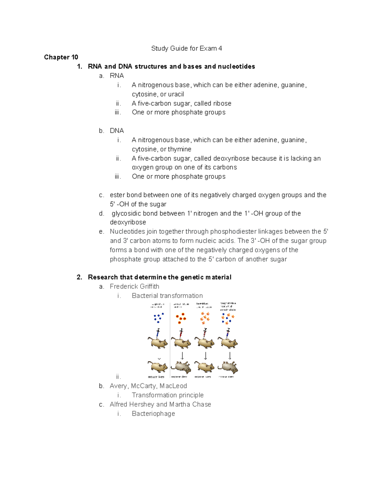 Exam 4 Study Guide - Study Guide For Exam 4 Chapter 10 1. RNA And DNA ...