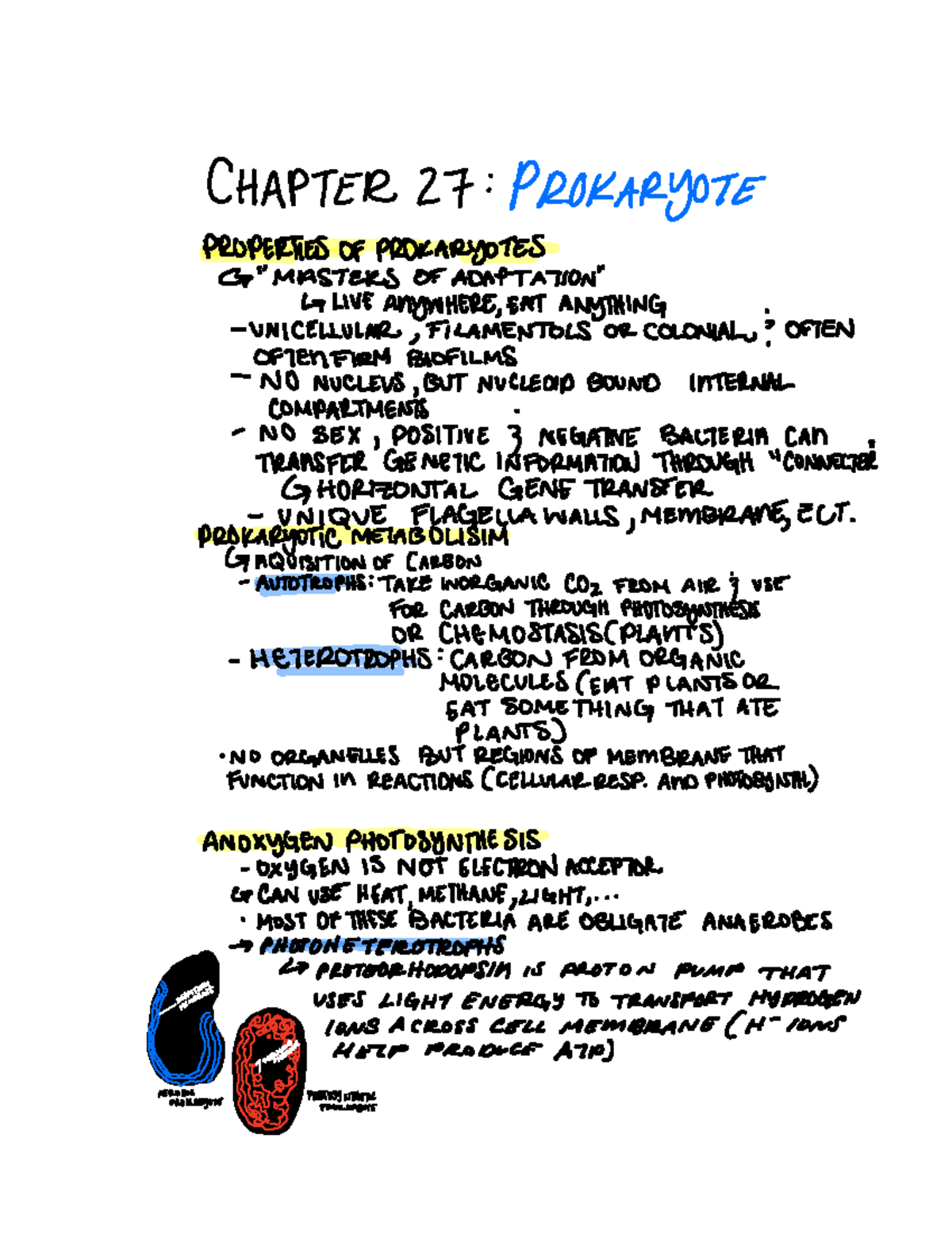 mastering biology chapter 27 homework answers