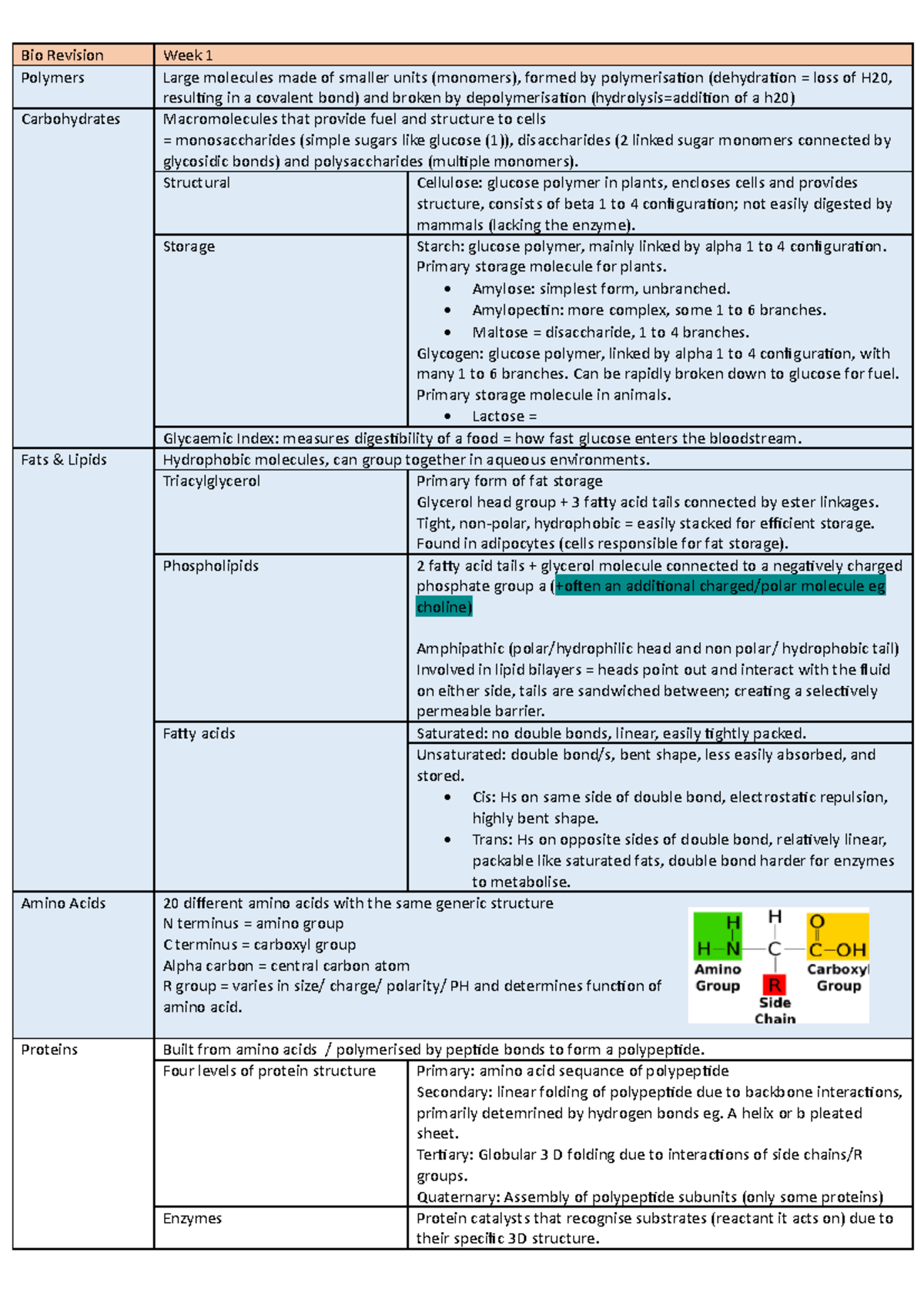 Bio Rev - bio test revision - Bio Revision Week 1 Polymers Large ...