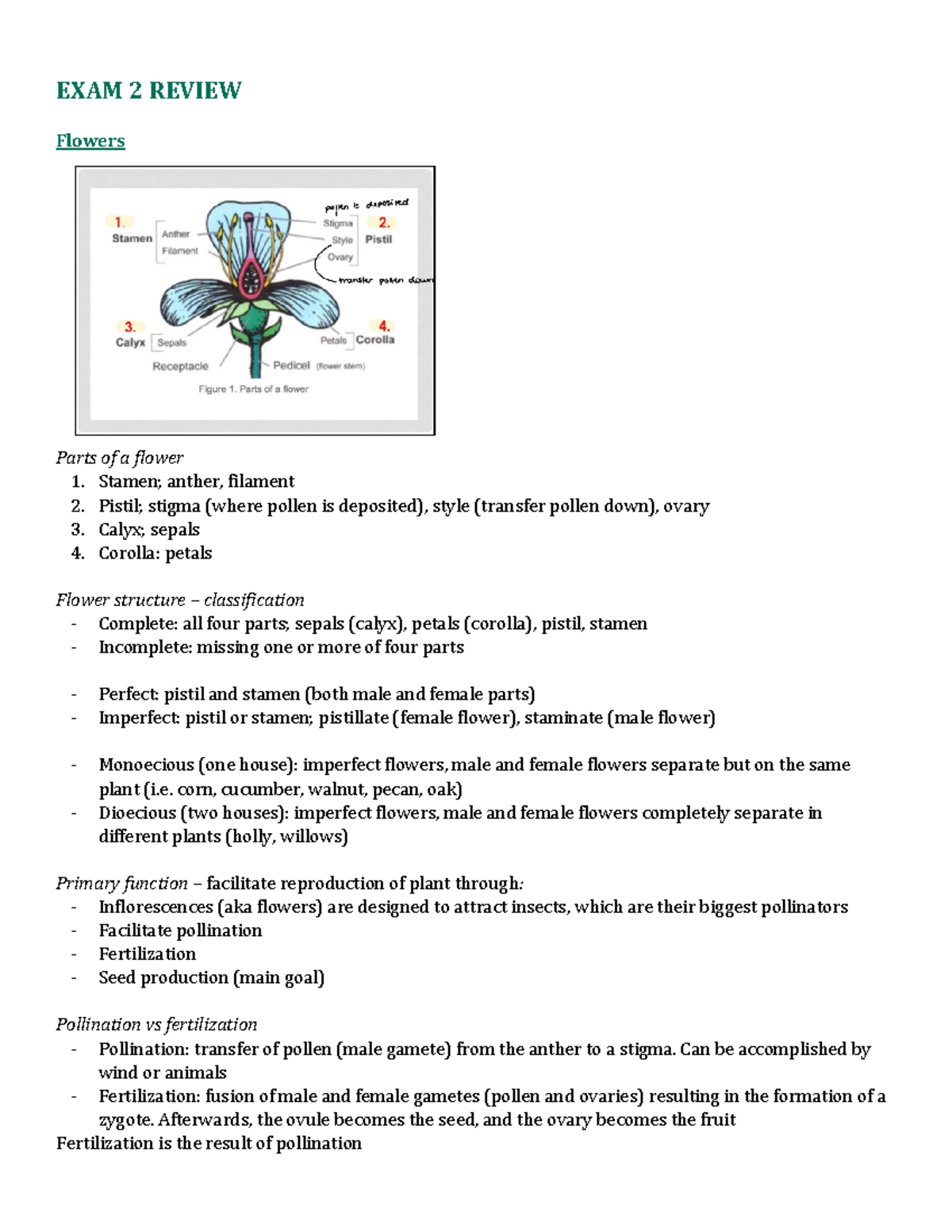 Exam 2 Review Material - Prof. Baliga - EXAM 2 REVIEW Flowers Parts of ...