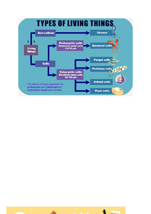 Unit4AOS2Revision Poster - Levels of functioning Resilience Social and ...