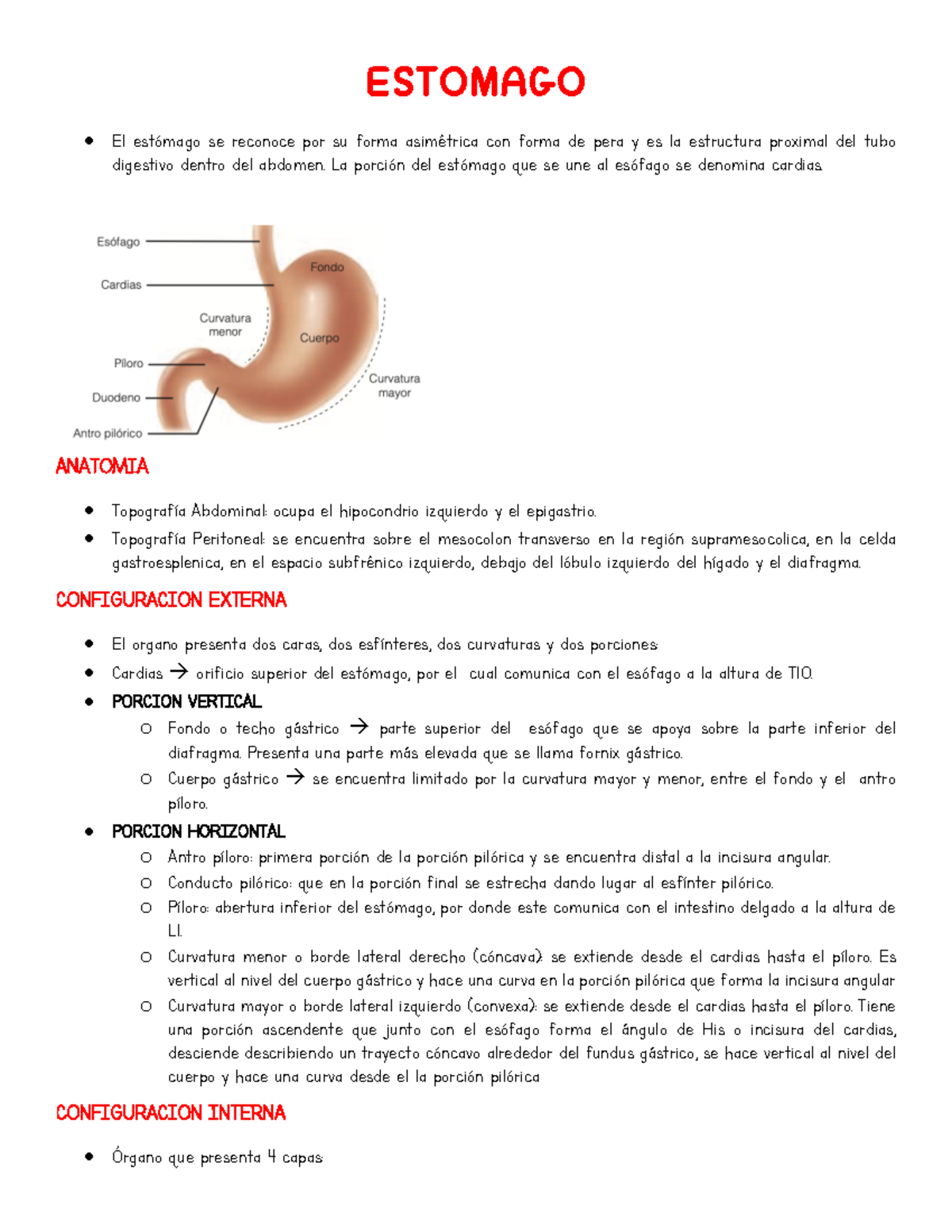 Cancer Gastrico - ....................................... - ESTOMAGO El ...