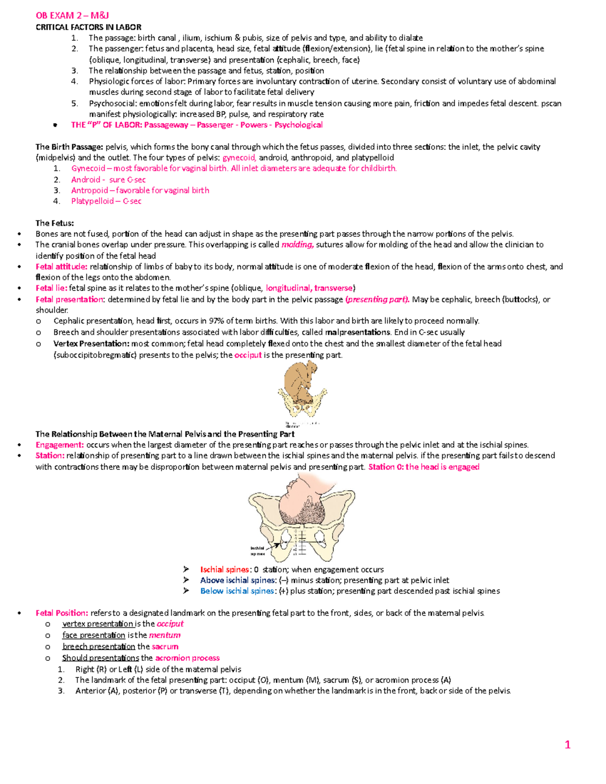 OB Exam 2 Study Guide - OB EXAM 2 CRITICAL FACTORS IN LABOR 1. The ...