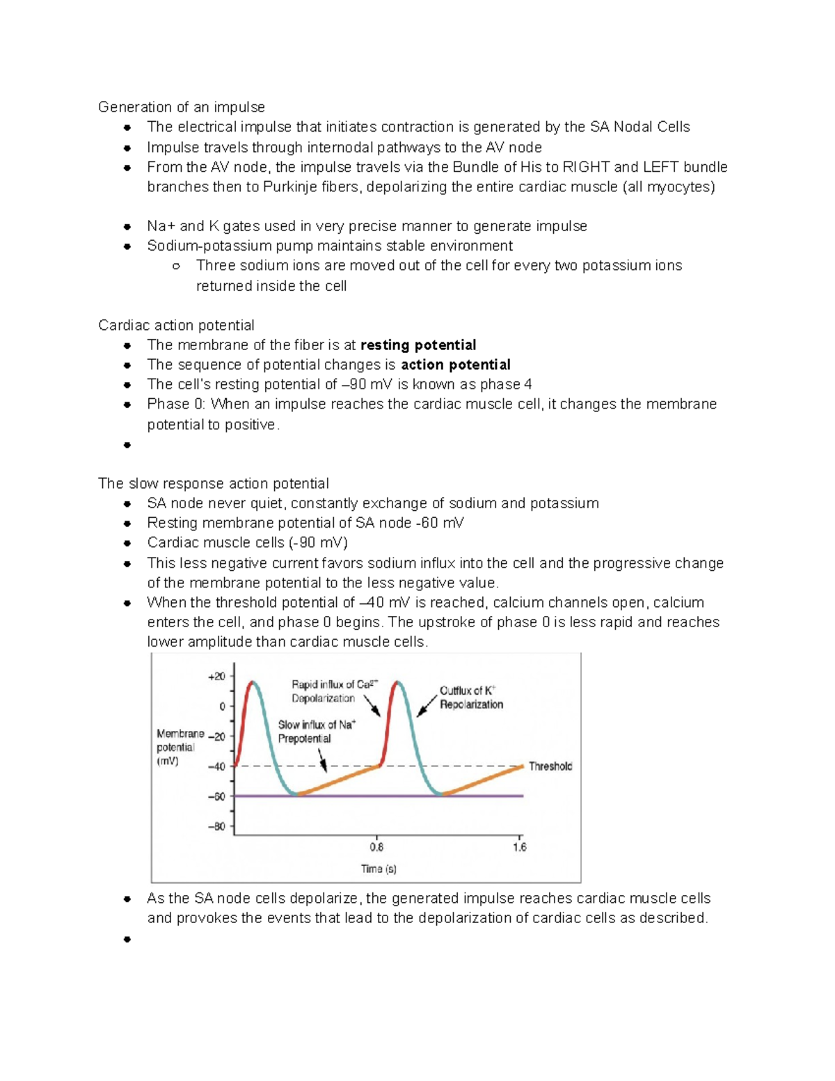Ch 4 Electrophysiology Generation of an impulse The electrical