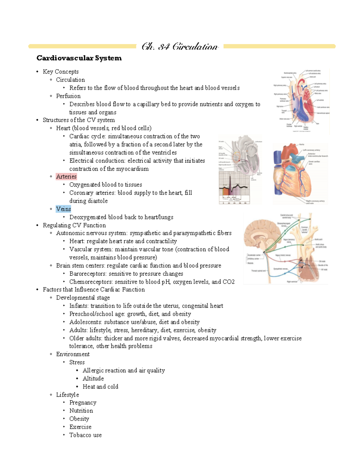 Module 6 Ch. 34 MS 33 & 37 MS stands for Med Surg Textbook chapters Ch. 34 Circulation Studocu