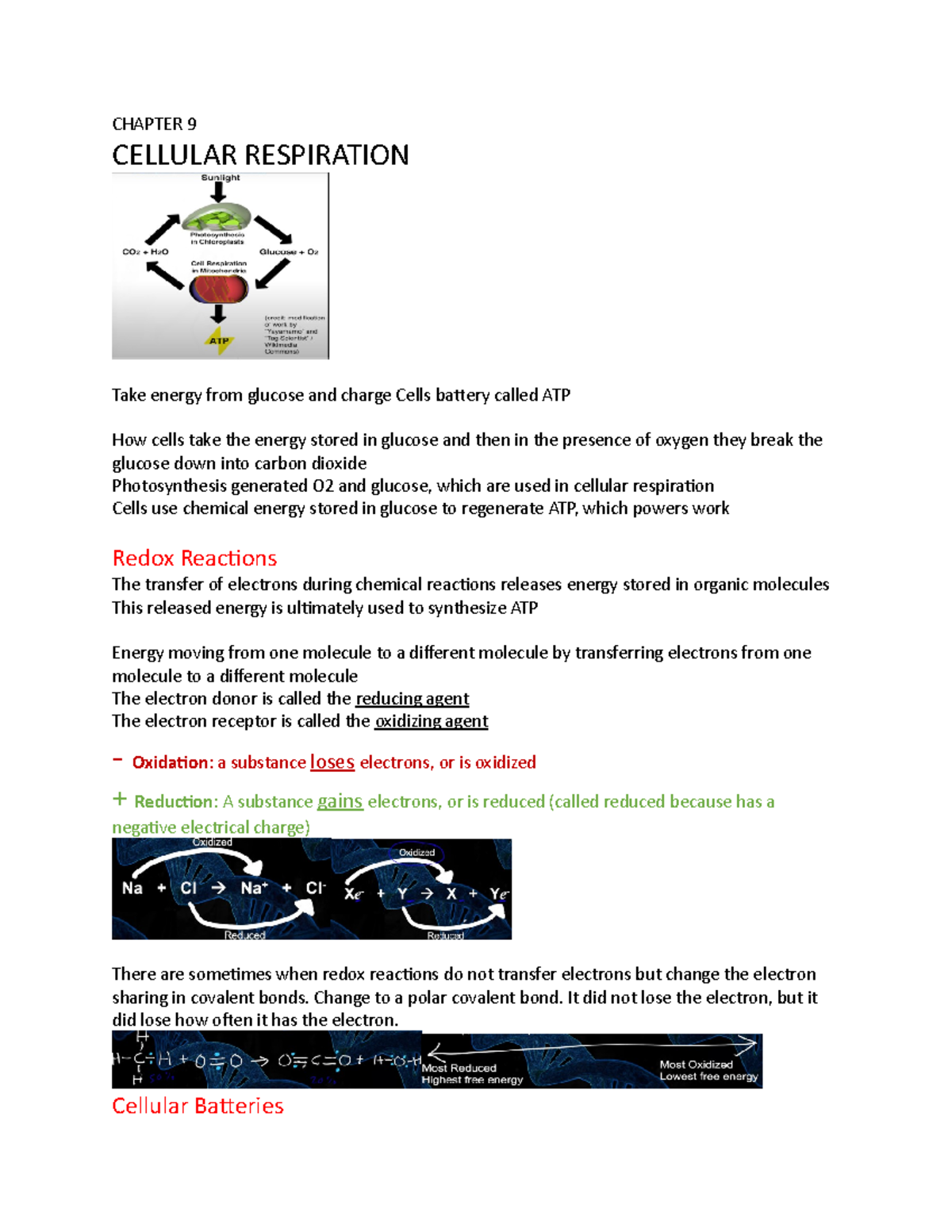 Chapter 9 - Lecture Notes 9 - BSC 1010H - Valencia College - Studocu