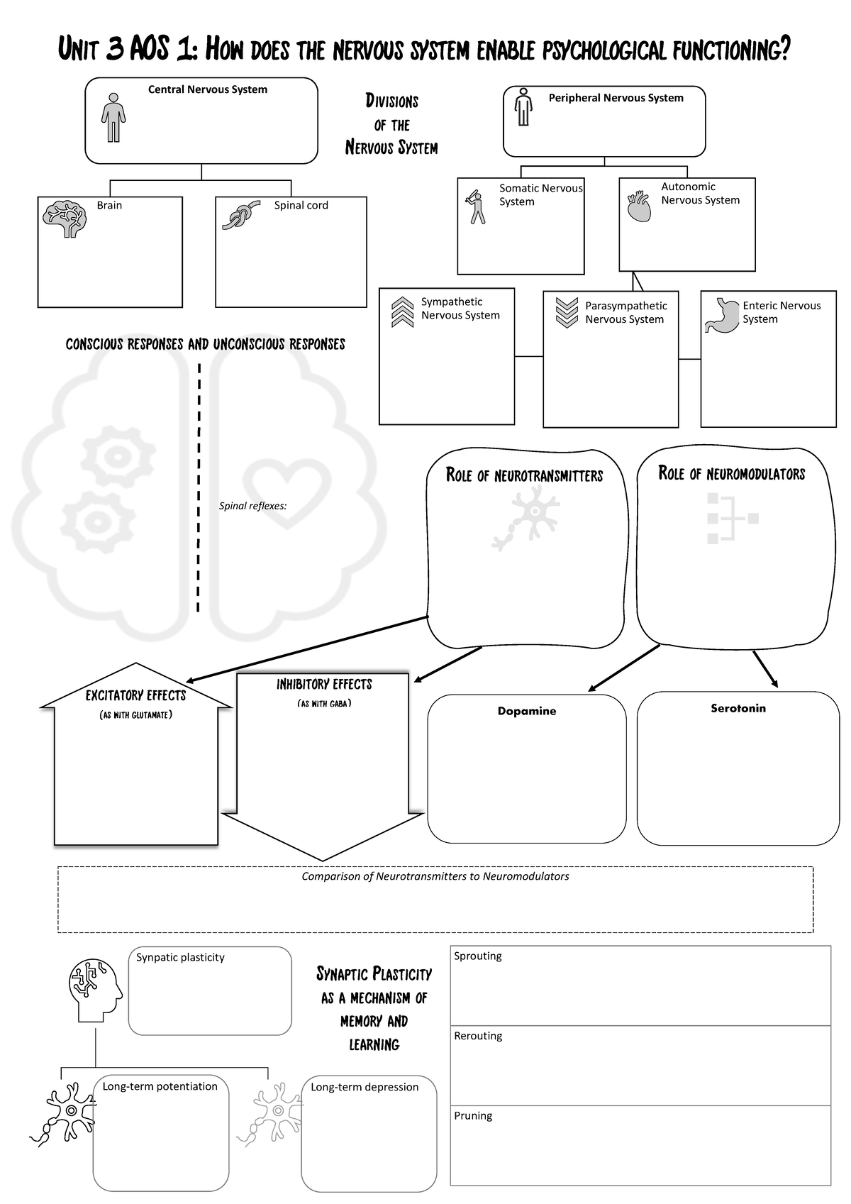 Unit 3 - AOS1 Revision Poster - Unit 3 AOS 1: How Does The Nervous ...