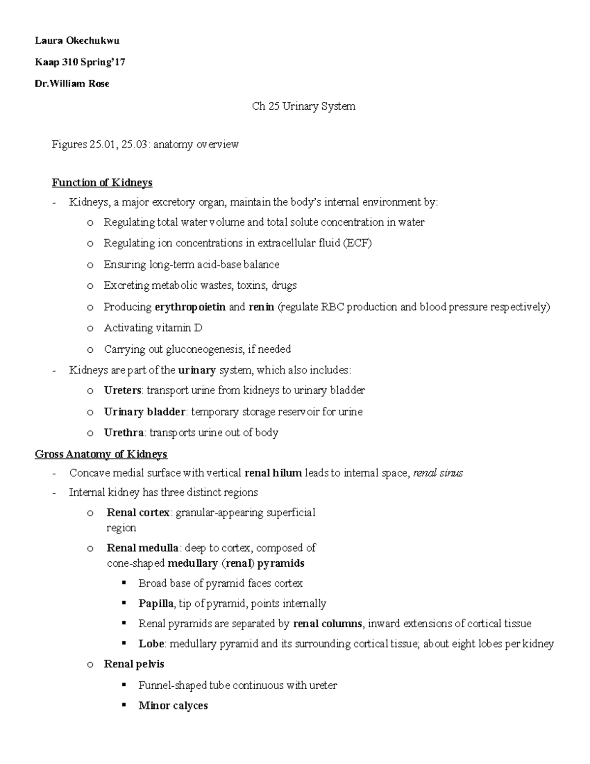 Ch 25 Urinary System - Dr. Rose Spring 2017 - Laura Okechukwu Kaap 310 ...