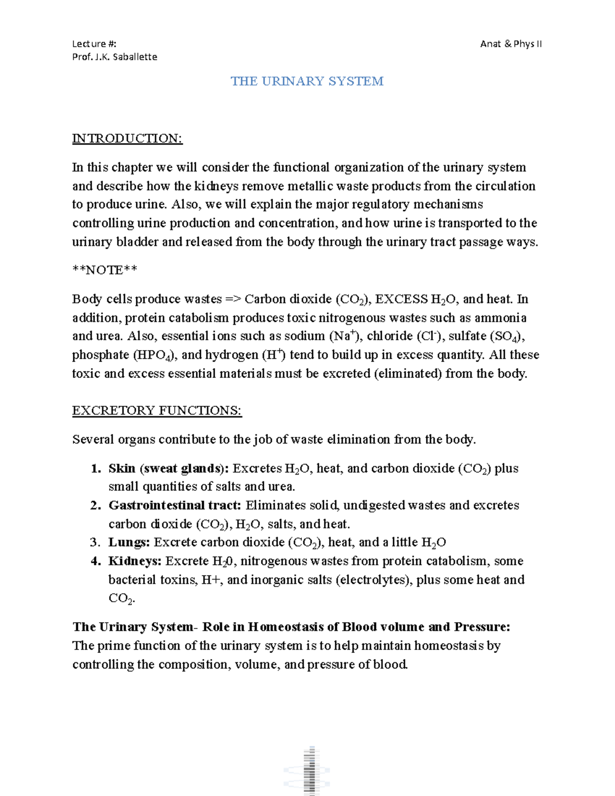 THE+ Urinary+ System - Prof. J. Saballette THE URINARY SYSTEM ...