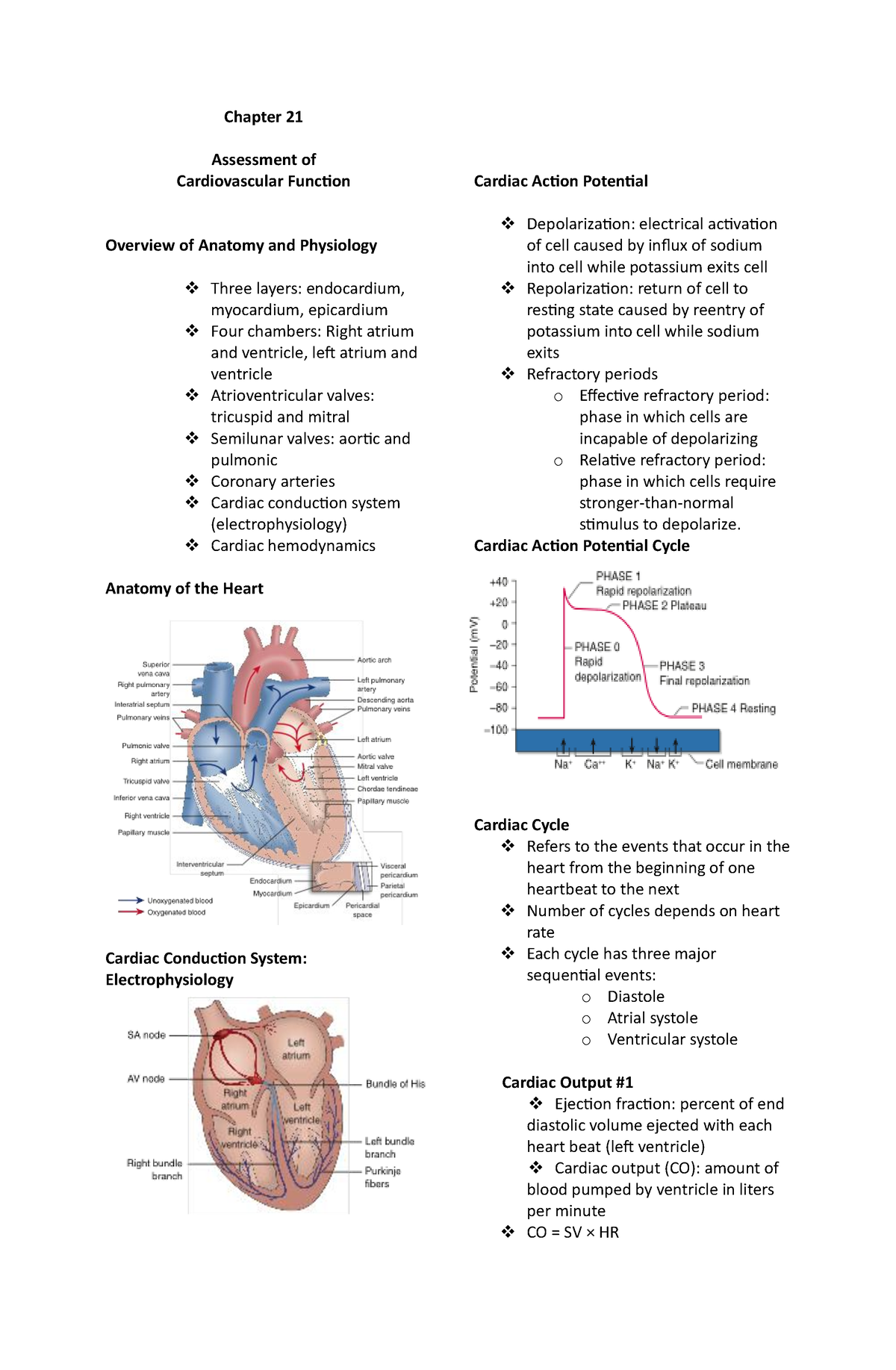 MS cardio lecture Editedd - Chapter 21 Assessment of Cardiovascular ...