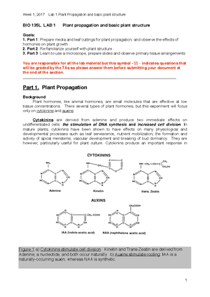 Lab 3 notes- Cellular and organismal functions - Week 4, 2017 Lab 3 Bio ...