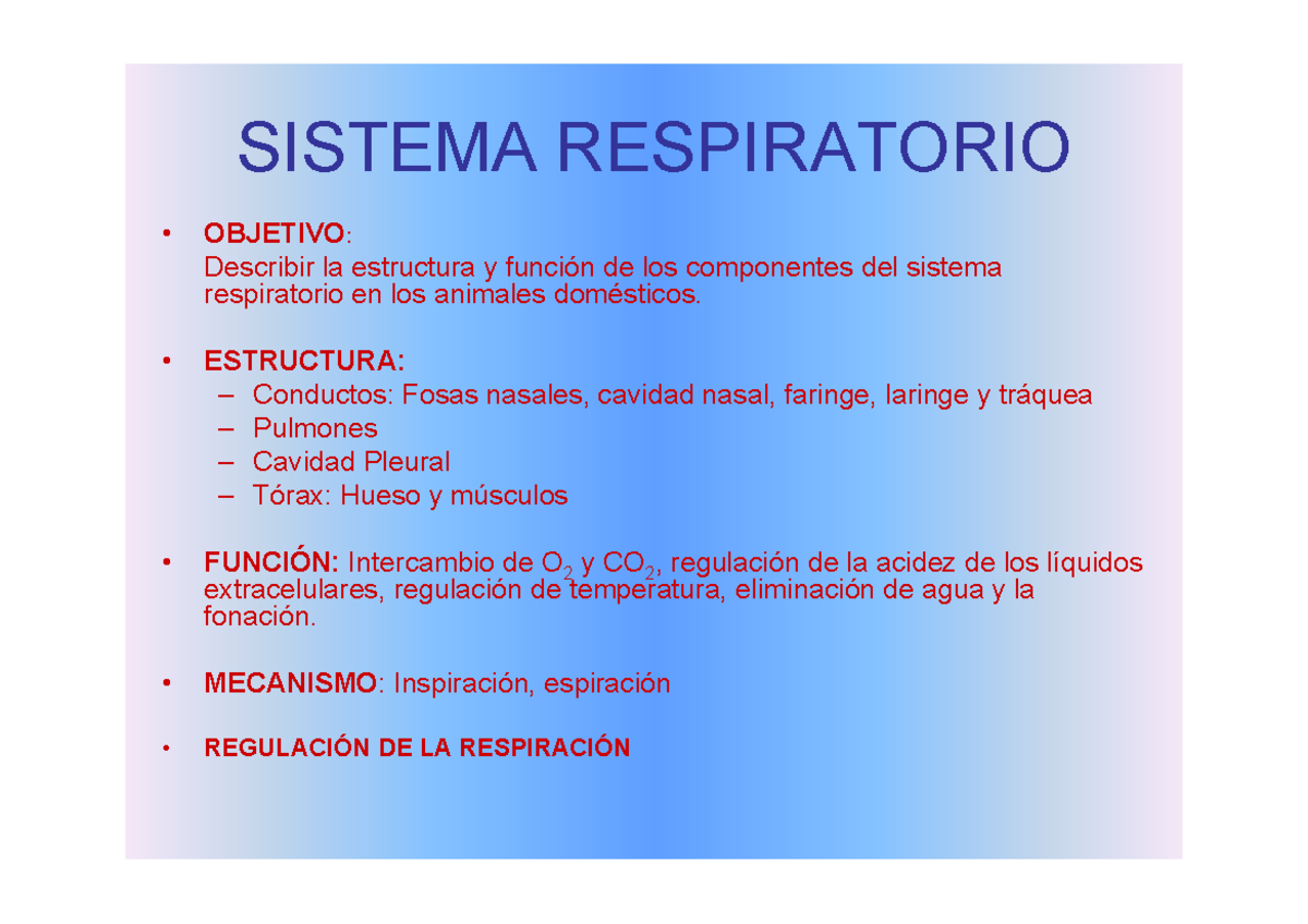 Sistema Respiratoriode los animales domesticos - SISTEMA RESPIRATORIO ...